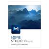 Vegas Movie Studio 18 Suite EDU (download)