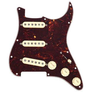 Fender Pre-Wired Strat PG Custom Shop Texas Special SSS Tortoise