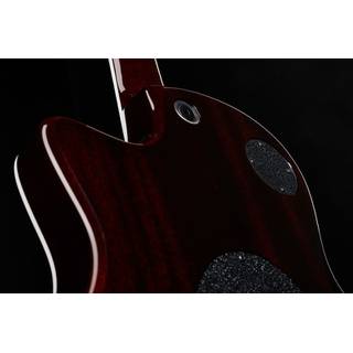 Taylor T5z Standard Honey Sunburst