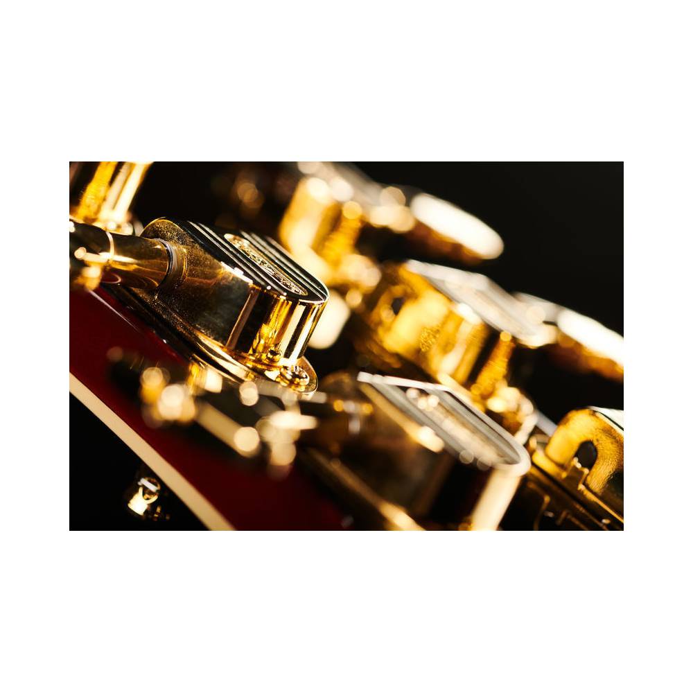 D'Angelico Excel 59 Viola semi-akoestische gitaar met koffer