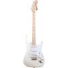 Fender Custom Shop Robin Trower Stratocaster Arctic White MN met deluxe koffer en CoA