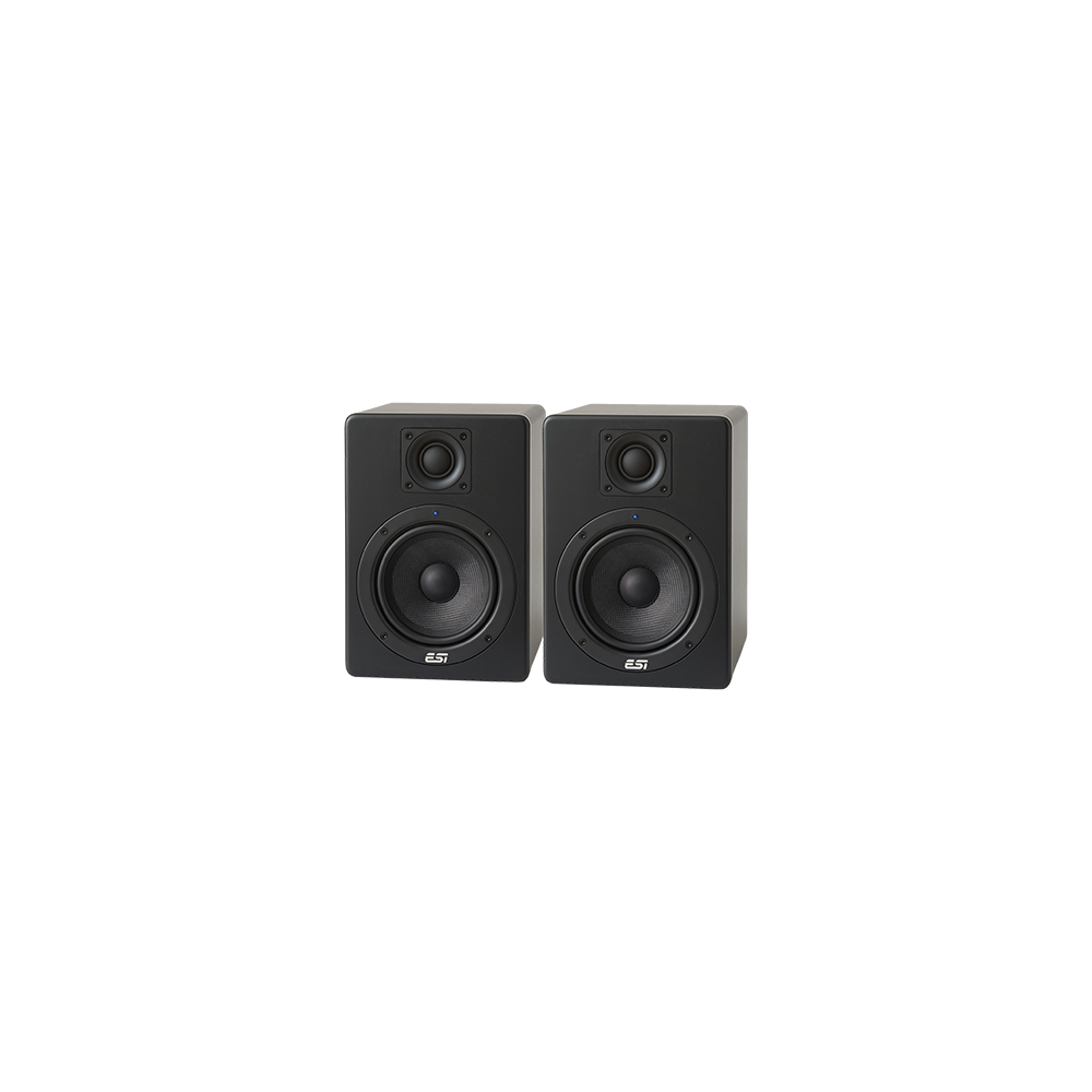 ESI Aktiv 05 monitor set