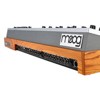 Moog ONE Polyphonic 8 Voice