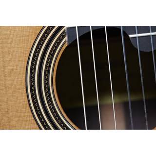 ALHAMBRA Linea Profesional   case - 3847