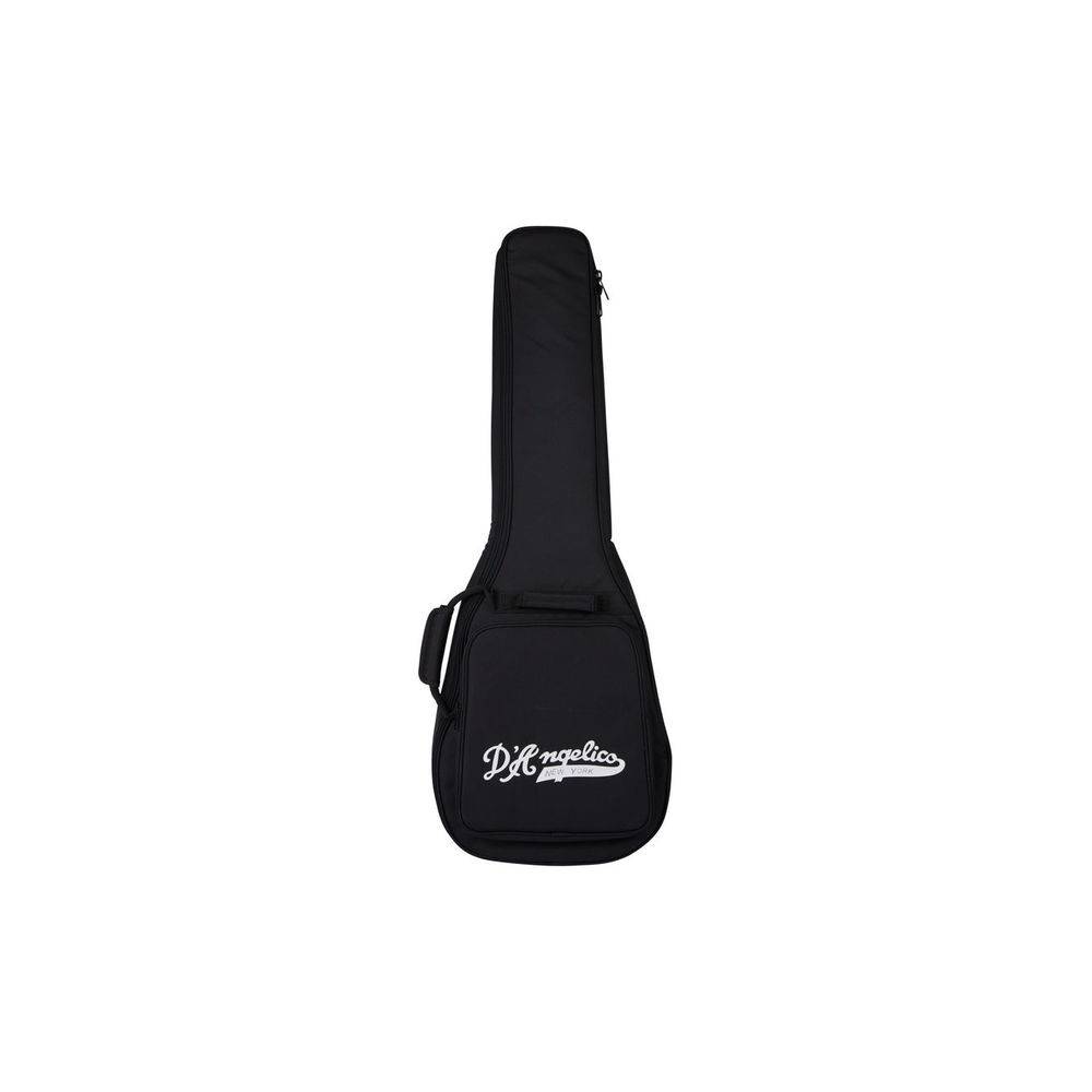 D'Angelico Premier Brighton Sky Blue elektrische gitaar met gigbag