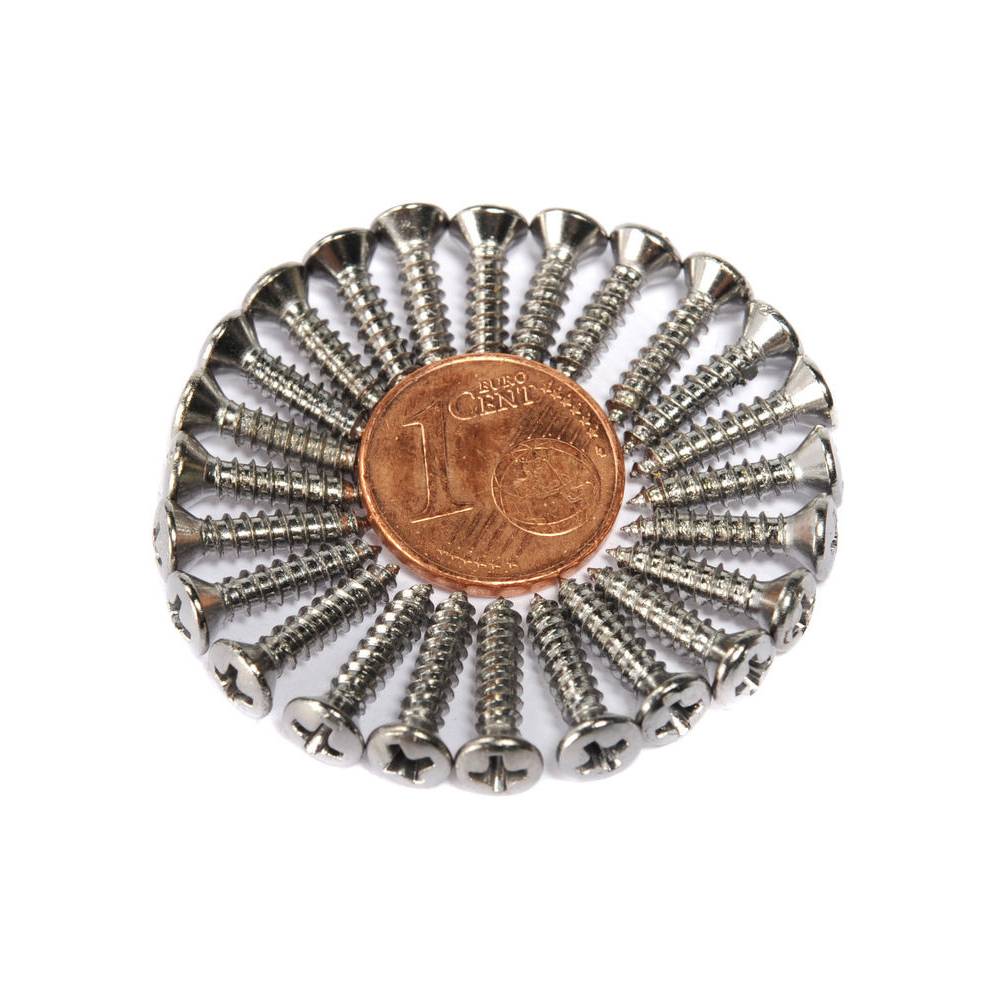 Fender slagplaat schroeven chroom (24 stuks)