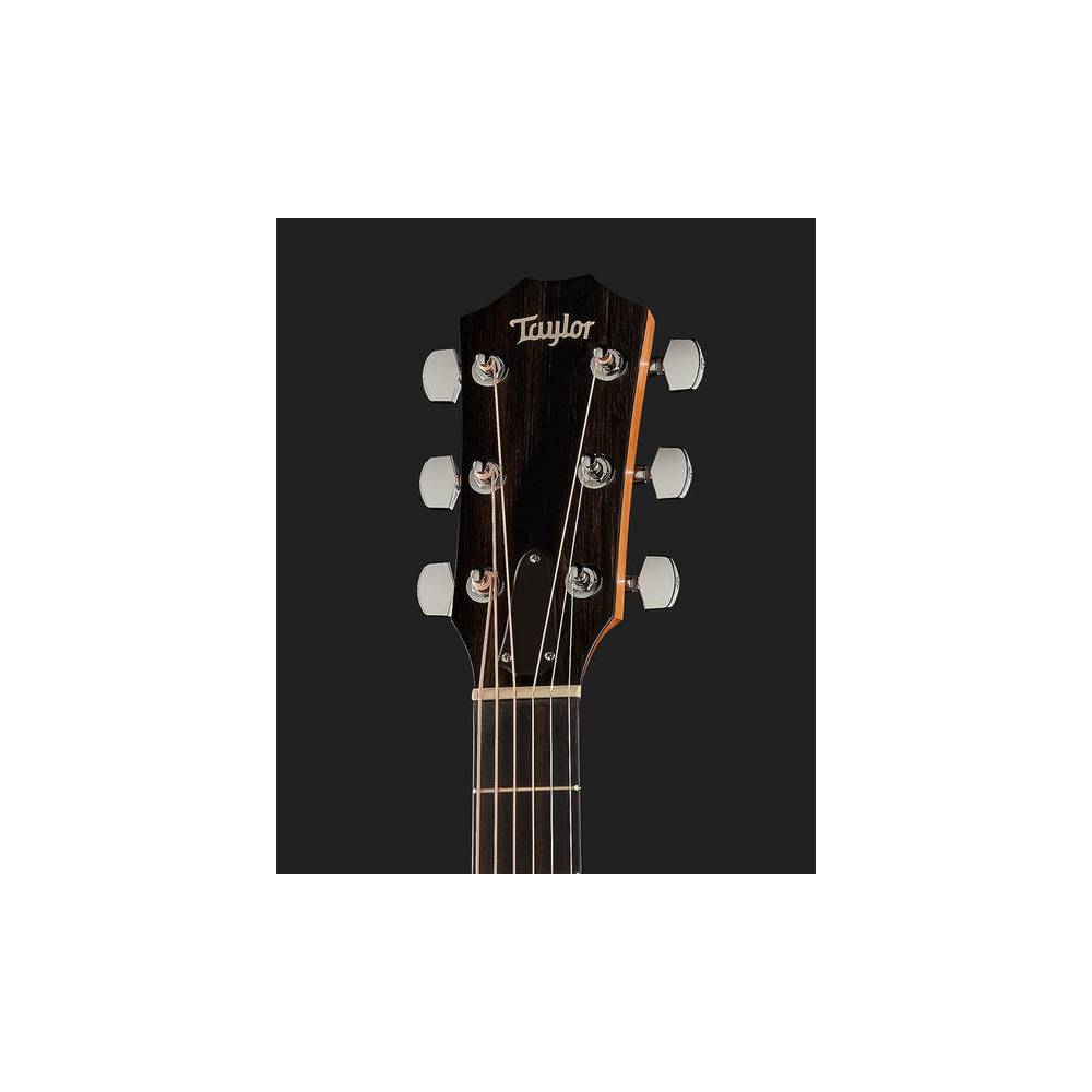 Taylor Academy 12e-N