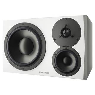 Dynaudio LYD-48 links