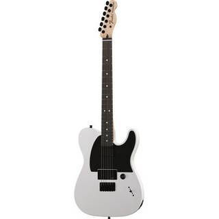 Fender Jim Root Telecaster Flat White EB