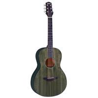 Fazley W120-PGR ColourTune akoestische gitaar groen met gigbag