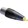 Procab CLP130 Classic XLR female - RCA male adapter