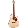 Seagull Performer CW MJ Flame Maple HG QIT