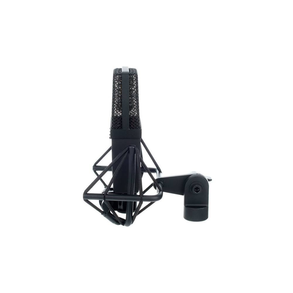 SE Electronics SE4400A-ST stereo paar condensator microfoon