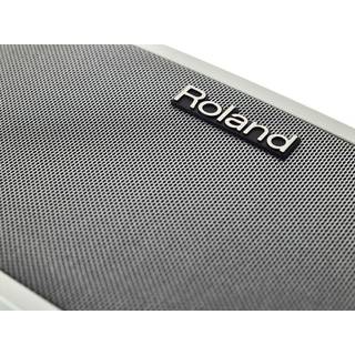 Roland Cube Lite Monitor instrumentversterker met iOS interface