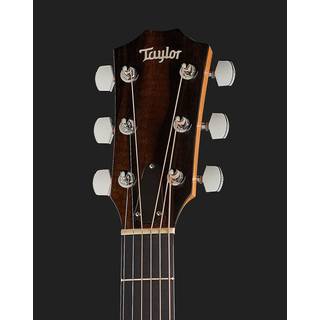 Taylor 110e