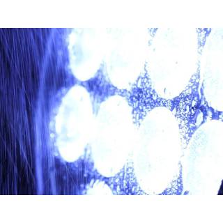 Eurolite LED IP PAR 7x8W QCL spot