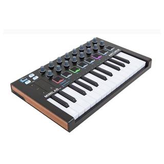 Arturia Minilab Mk2 Black Edition