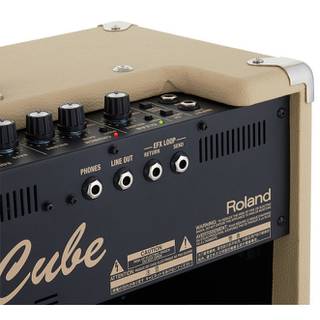 Roland Blues Cube Artist