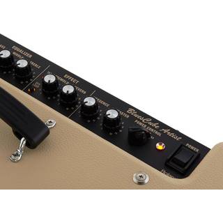 Roland Blues Cube Artist