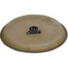 Latin Percussion LPA663B Aspire 8 inch hembra bongovel
