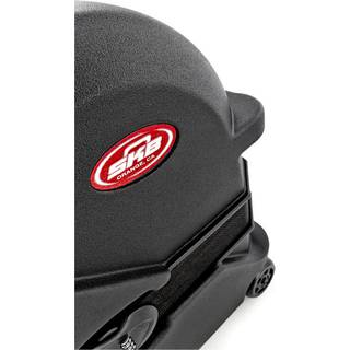 SKB 1SKB-44RW koffer voor basgitaar en gigbag