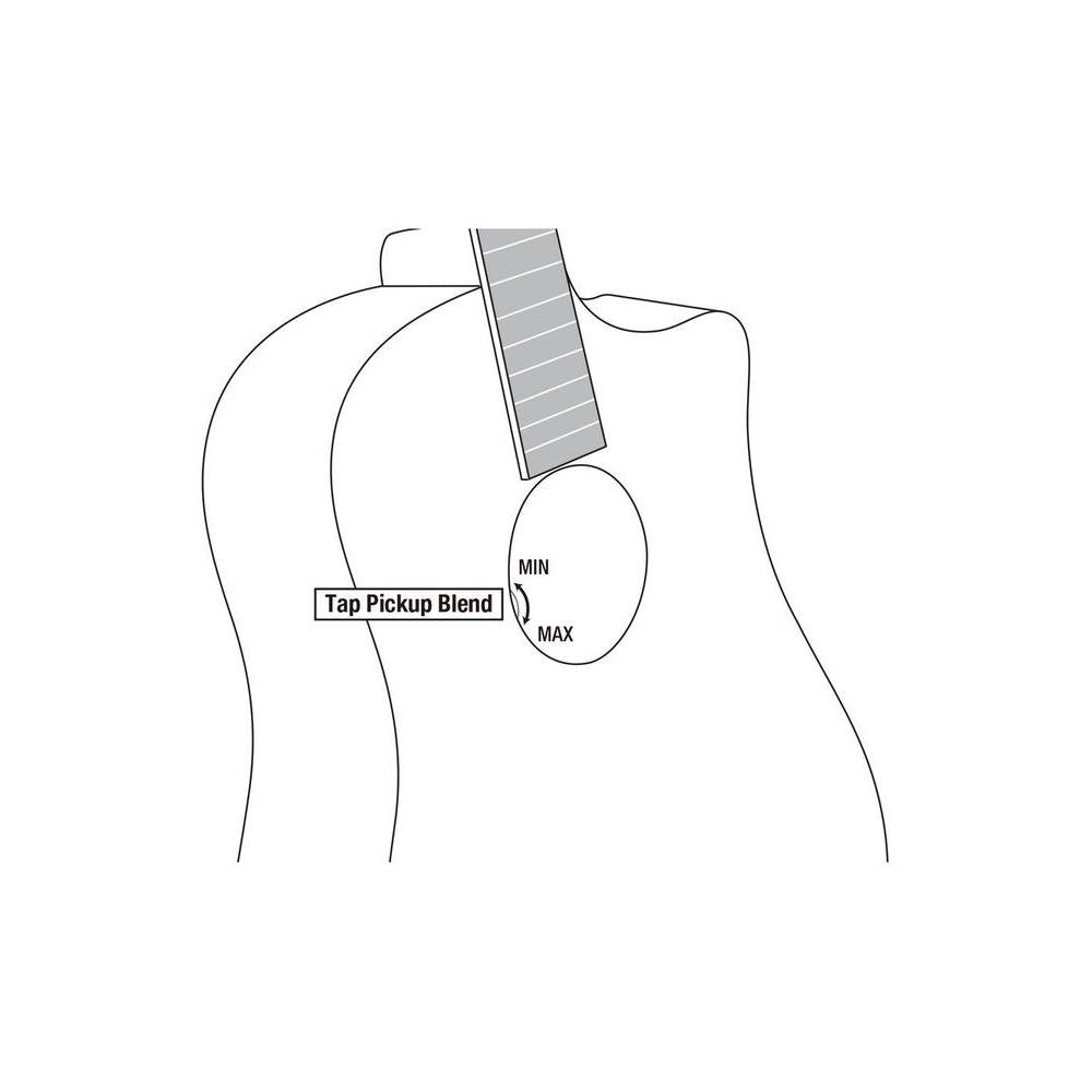 Ibanez JGM10-BSN Jon Gomme signature elektrisch akoestische gitaar