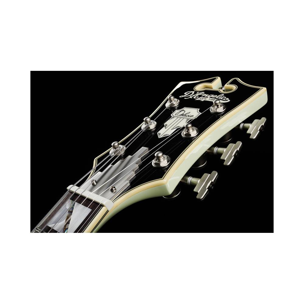 D'Angelico Deluxe SS LE Stairstep Sage semi-akoestische gitaar met koffer