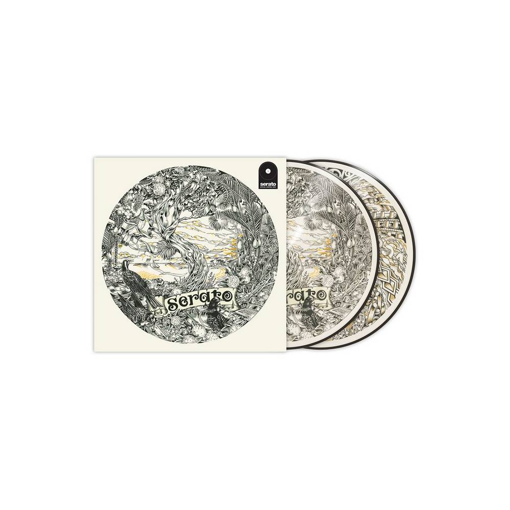 Artist Series Dan Tippett