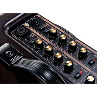 Roland AC-60 Rosewood