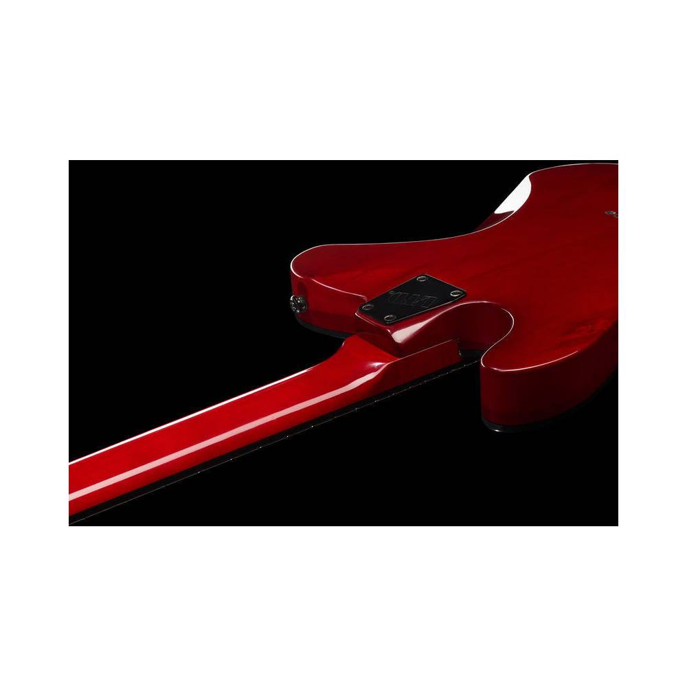 ESP LTD TE-200 Maple See Thru Black Cherry