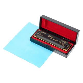 Fender Blues Deville D