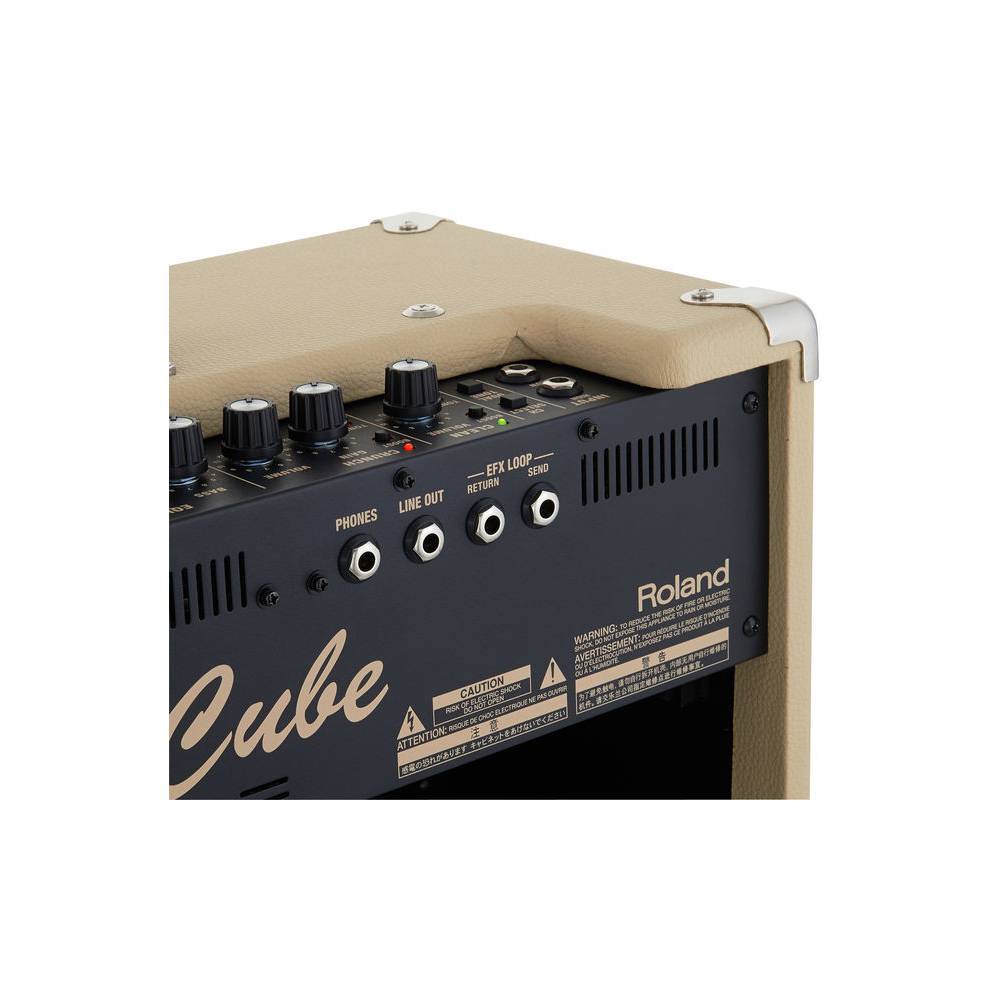 Roland Blues Cube Artist