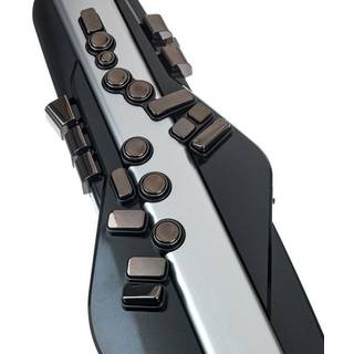 Roland AE-30 Aerophone Pro digitaal blaasinstrument
