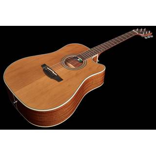 Takamine GD20CE-NS E/A westerngitaar ceder top natural satin