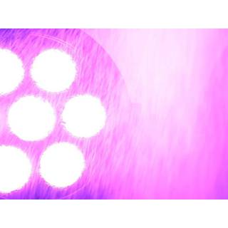 Eurolite LED IP PAR 12x8W QCL spot