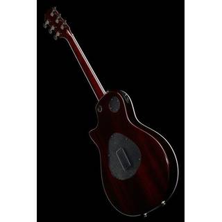 Taylor T5z Standard Honey Sunburst