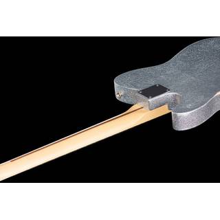 Fender Brad Paisley Road Worn Telecaster