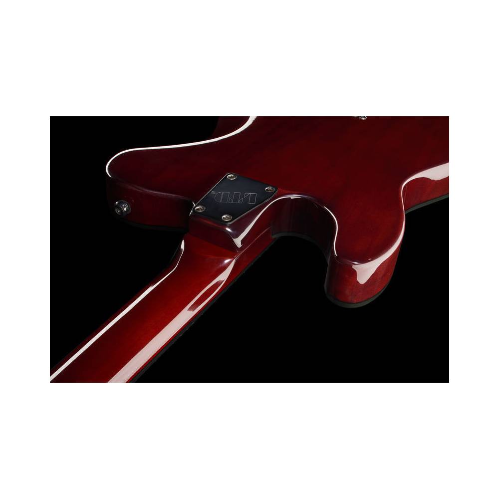 ESP LTD TE-200 Rosewood Tobacco Sunburst