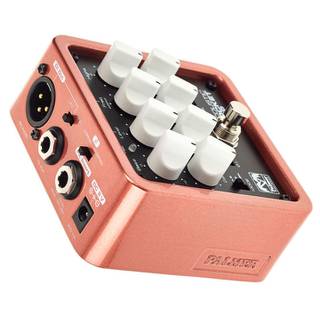 Palmer Pocket Amp Acoustic preamp en DI-box voor snaarinstrument