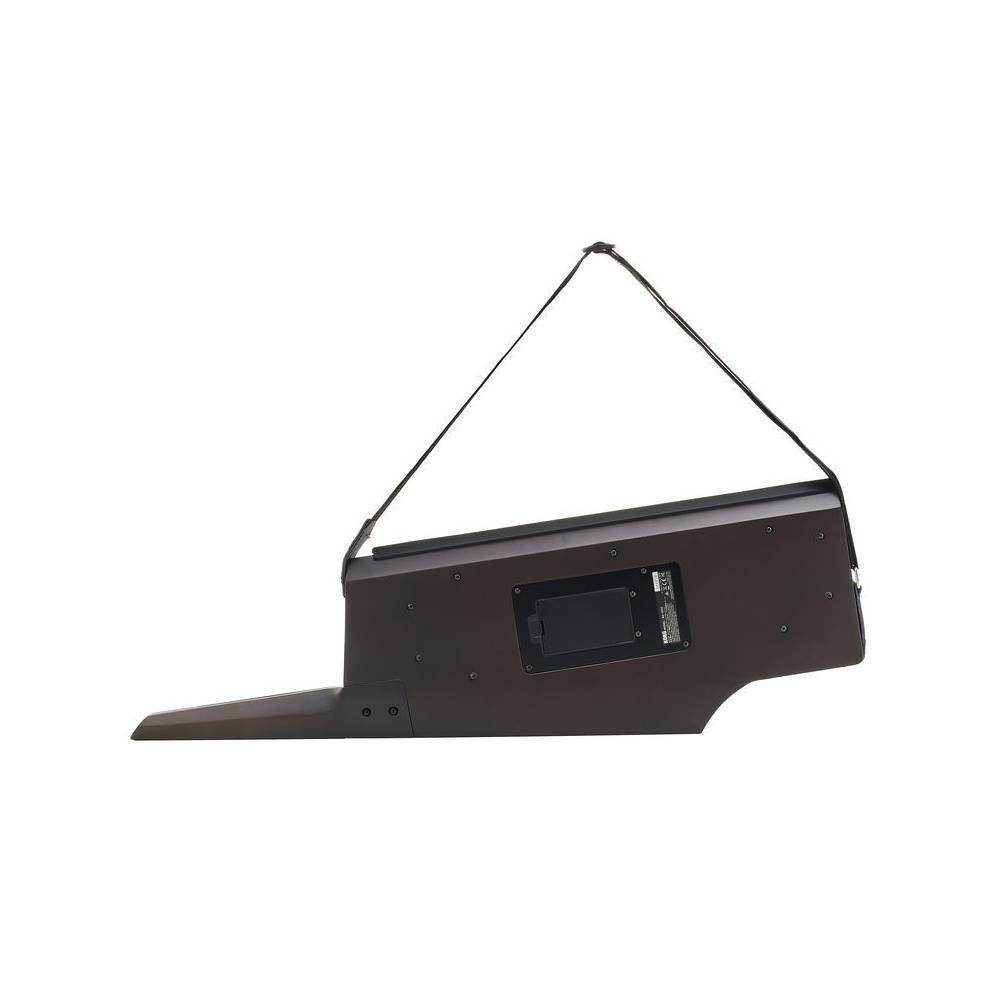 Korg RK-100S 2 Black keytar