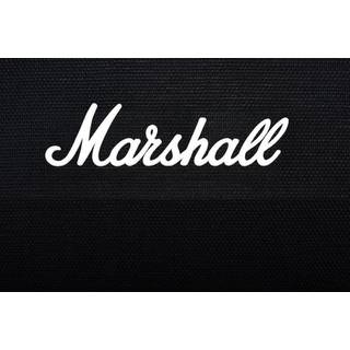 Marshall 1960A Angled