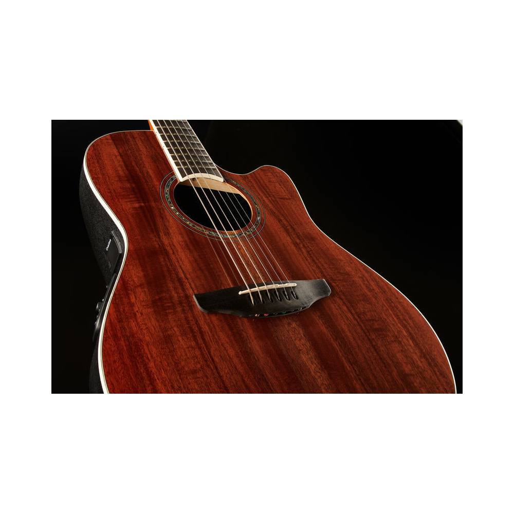 Ovation CS24P-FKOA Celebrity Standard Plus Figured Koa