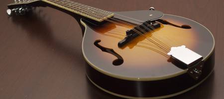 Are you going to buy a mandolin? Make sure you know every detail by reading this article!