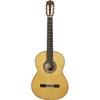 Manuel Rodriguez FF Sabicas flamenco gitaar (all-solid, sparren)