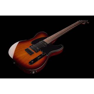 ESP LTD TE-200 Rosewood Tobacco Sunburst