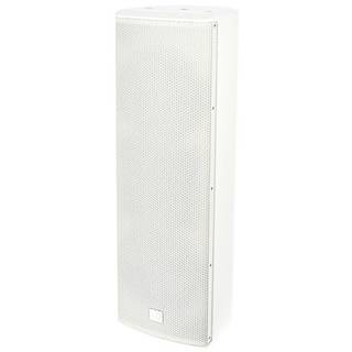 LD Systems SAT 262 G2 W 2x 6.5 inch passieve installatie luidspreker (wit)