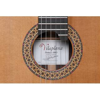 ALHAMBRA Premier Pro Exotico   case - 7628